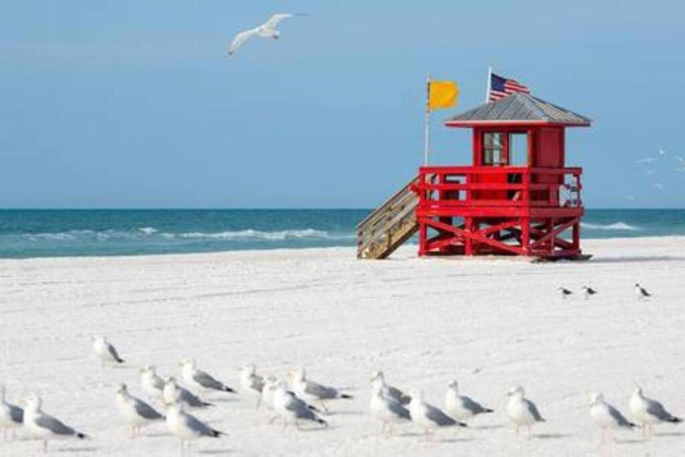 Fantastic Island House 1 Mile To The Beach With Heated Pool Sarasota Eksteriør billede